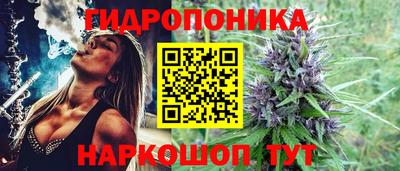СК Изобильный