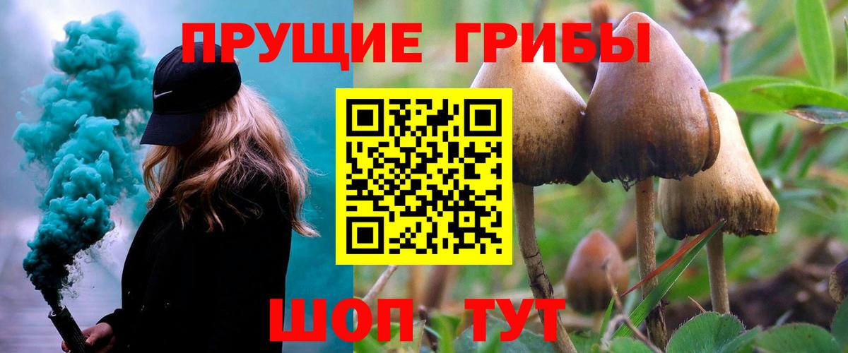 Псилоцибиновые грибы мицелий  Псилоцибиновые грибы ЛСД  Павлово  Вход с VPN 
