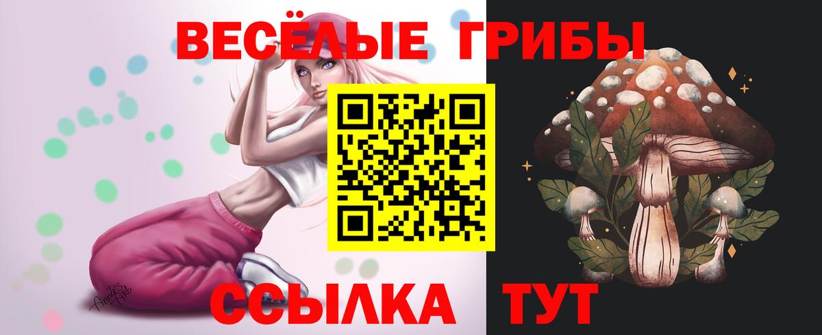 Псилоцибиновые грибы GOLDEN TEACHER Павлово